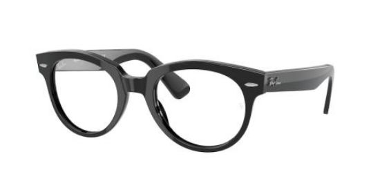Picture of Ray Ban Eyeglasses RX2199V