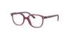 Picture of Ray Ban Eyeglasses RY9093V
