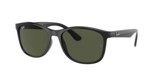 Picture of Ray Ban Sunglasses RB4374F
