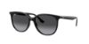 Picture of Ray Ban Sunglasses RB4378F