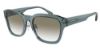 Picture of Emporio Armani Sunglasses EA4175F