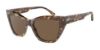 Picture of Emporio Armani Sunglasses EA4176