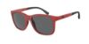 Picture of Emporio Armani Sunglasses EA4184F
