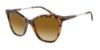 Picture of Giorgio Armani Sunglasses AR8157