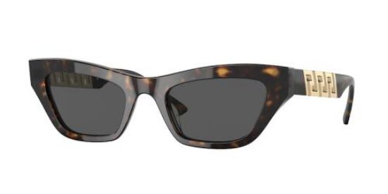 Picture of Versace Sunglasses VE4419