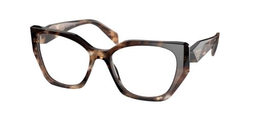 07R1O1 Caramel Tortoise