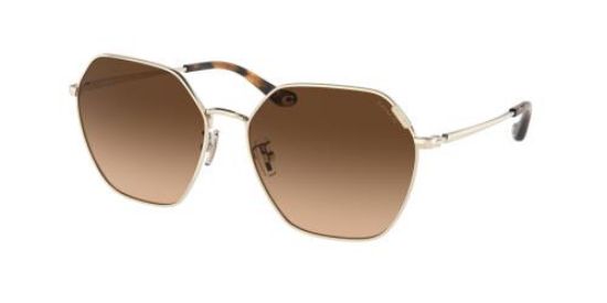 Picture of Coach Sunglasses HC7132