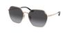 Picture of Coach Sunglasses HC7132