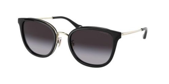 Picture of Coach Sunglasses HC7135