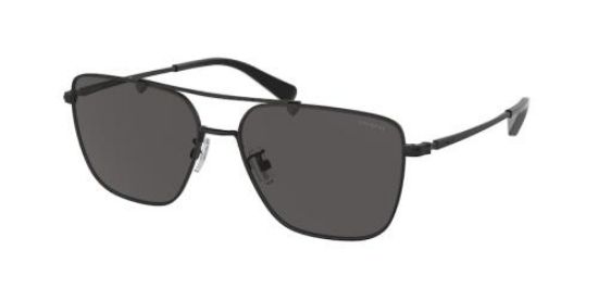 Picture of Coach Sunglasses HC7137