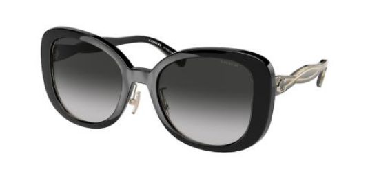 Picture of Coach Sunglasses HC8333