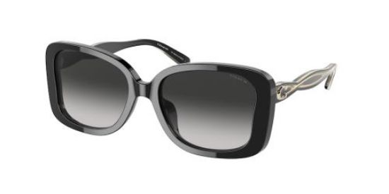 Picture of Coach Sunglasses HC8334U