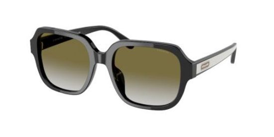 Picture of Coach Sunglasses HC8335U