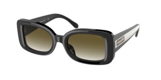 Picture of Coach Sunglasses HC8336U