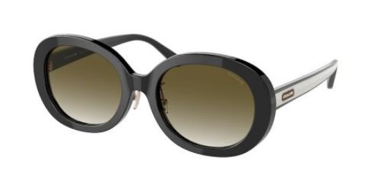 Picture of Coach Sunglasses HC8337F