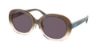 Picture of Coach Sunglasses HC8337F