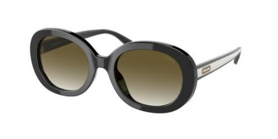 Picture of Coach Sunglasses HC8337U