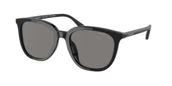 Picture of Coach Sunglasses HC8338U