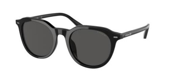 Picture of Coach Sunglasses HC8339U