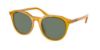 Picture of Coach Sunglasses HC8339U
