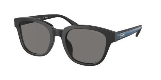 Picture of Coach Sunglasses HC8340U