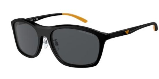 Picture of Emporio Armani Sunglasses EA4179F