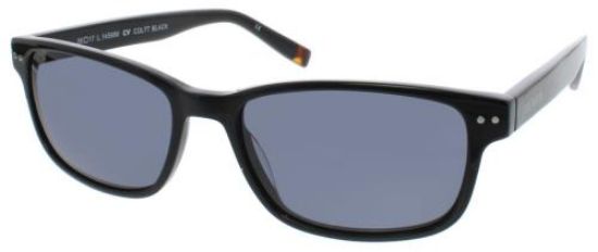 Picture of Steve Madden Sunglasses COLTT