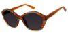 Picture of Nicole Miller Sunglasses SANTORINI