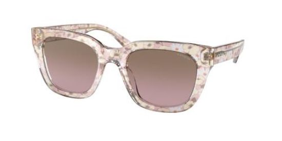 Picture of Coach Sunglasses HC8318