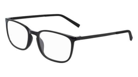 Picture of Flexon Eyeglasses EP8012