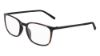 Picture of Flexon Eyeglasses EP8012