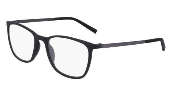 Picture of Flexon Eyeglasses EP8013
