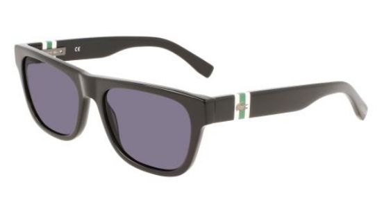 Picture of Lacoste Sunglasses L979S
