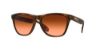 Picture of Oakley Sunglasses FROGSKINS (A)