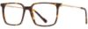 Picture of Scott Harris Eyeglasses SH-X 016