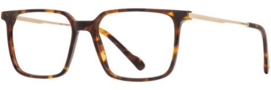 Picture of Scott Harris Eyeglasses SH-X 016