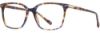 Picture of Scott Harris Eyeglasses SH-X 017