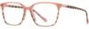 Picture of Scott Harris Eyeglasses SH-X 017
