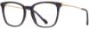 Picture of Scott Harris Eyeglasses SH-X 018