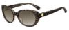Picture of Kate Spade Sunglasses EVERETT/F/S