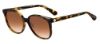 Picture of Kate Spade Sunglasses ALIANNA/G/S