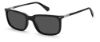 Picture of Polaroid Sunglasses PLD 2117/S