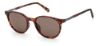 Picture of Fossil Sunglasses FOS 3124/S