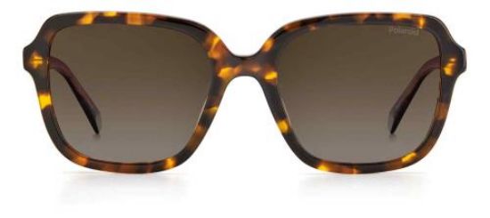 Picture of Polaroid Sunglasses PLD 4095/S/X