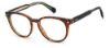 Picture of Polaroid Eyeglasses PLD D445