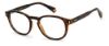 Picture of Polaroid Eyeglasses PLD D452