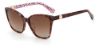 Picture of Kate Spade Sunglasses AMIYAH/G/S