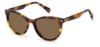Picture of Polaroid Sunglasses PLD 4111/S/X
