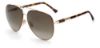 Picture of Jimmy Choo Sunglasses GRAY/S