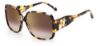 Picture of Jimmy Choo Sunglasses TARA/S